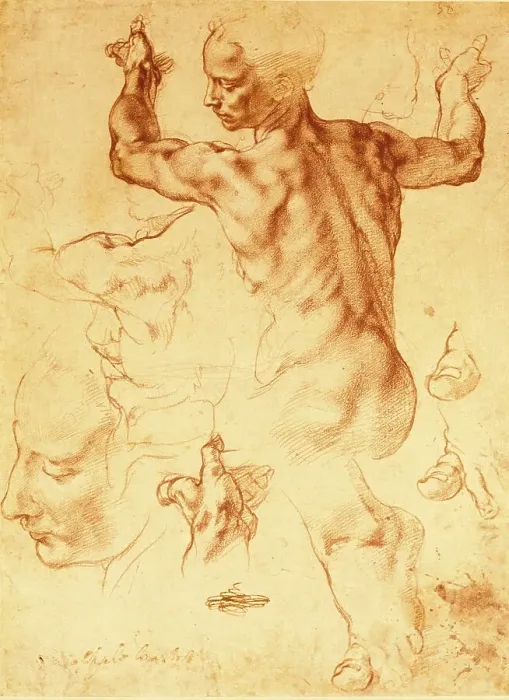 Framed Print : Anatomy Sketches (Libyan Sibyl) by Michelangelo Framed Print : Anatomy Sketches (Libyan Sibyl) by Michelangelo