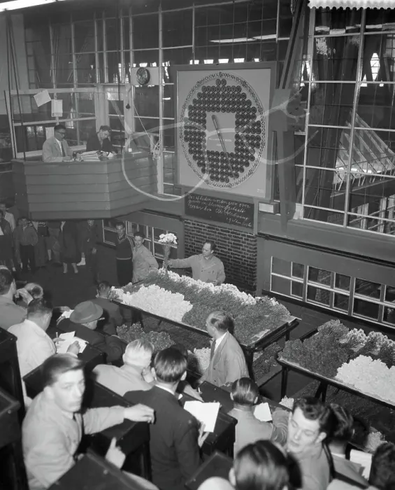 Framed Print : Anefo photo collection. Flower auction in Aalsmeer. April 26, 1960. Aalsmeer, Noord-Holland Framed Print : Anefo photo collection. Flower auction in Aalsmeer. April 26, 1960. Aalsmeer, Noord-Holland