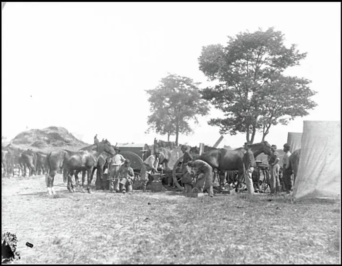 Framed Print : Antietam, Md. Blacksmith shoeing horses at headquarters Framed Print : Antietam, Md. Blacksmith shoeing horses at headquarters
