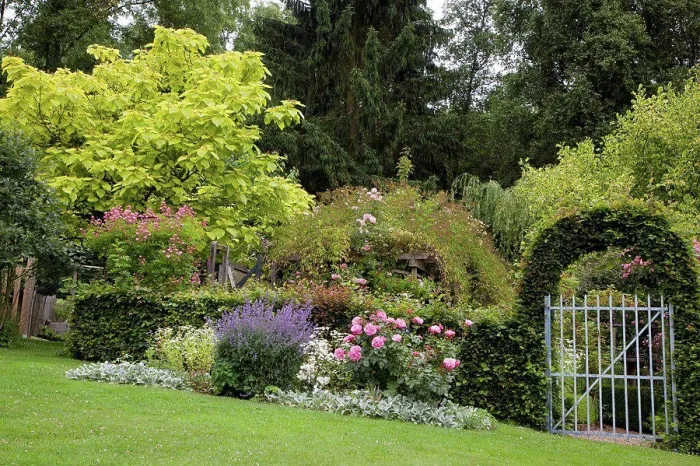 Framed Print : Arch of hornbeam at the entrance of a garden Framed Print : Arch of hornbeam at the entrance of a garden