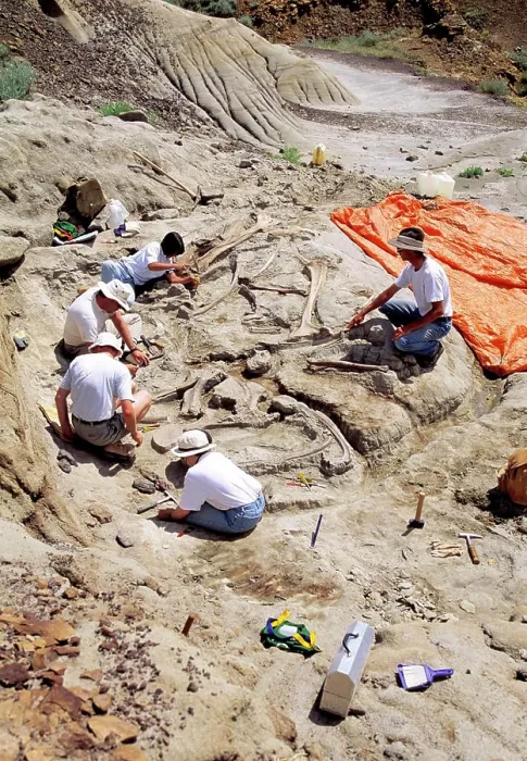Framed Print : Archeologists working at a dig sight of a fossilized dinosaur, Dinosaur Provincial Park, Alberta, Canada Framed Print : Archeologists working at a dig sight of a fossilized dinosaur, Dinosaur Provincial Park, Alberta, Canada