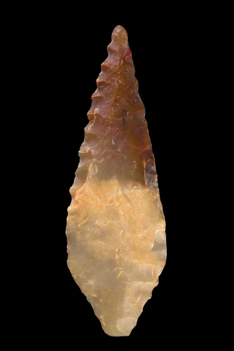 Framed Print : Arrowhead in chipped stone. Neolithic period Framed Print : Arrowhead in chipped stone. Neolithic period