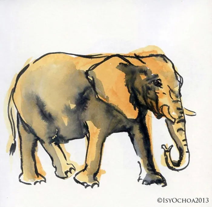 Framed Print : Art, Isy Ochoa Framed Print : Art, Isy Ochoa