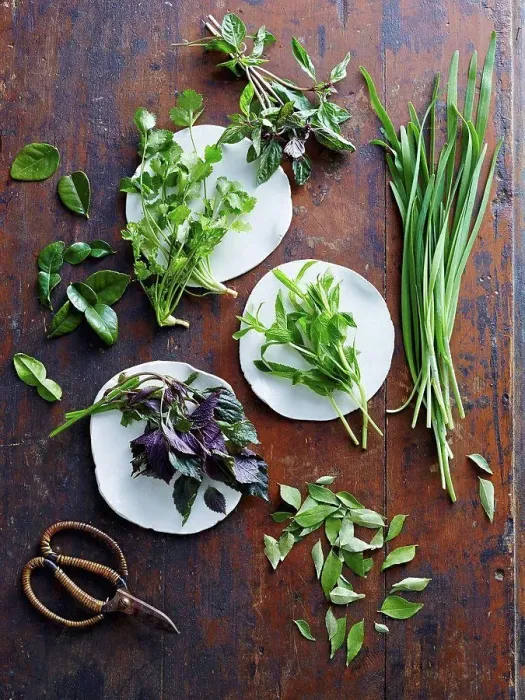 Framed Print : Asian herbs of coriander, Vietnamese mint, kaffir lime leaves, curry leaves, mint