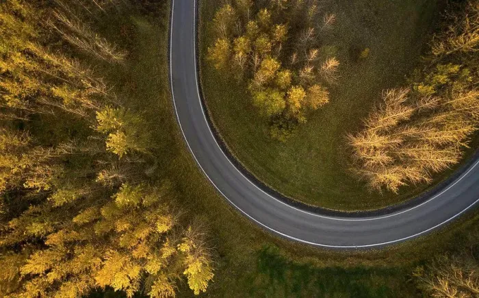 Framed Print : Asphalt roadway between autumn trees in forest
