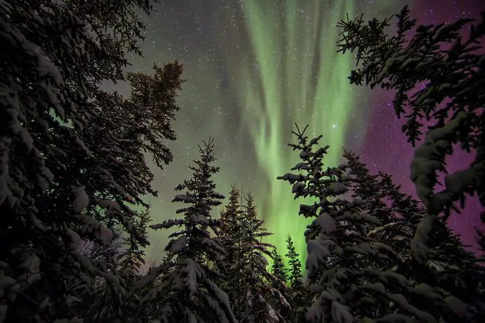 Framed Print : Aurora Borealis or Northern Lights, Yukon Framed Print : Aurora Borealis or Northern Lights, Yukon