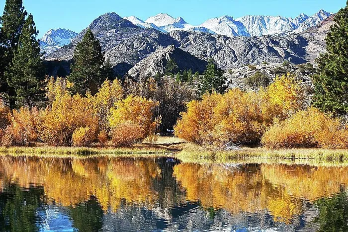 Framed Print : autumn in Zion Park