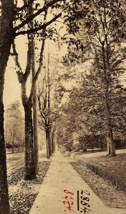 Framed Print : Avenues in the United States, Portland, Oregon, 1906, Ore. Residence Street Framed Print : Avenues in the United States, Portland, Oregon, 1906, Ore. Residence Street