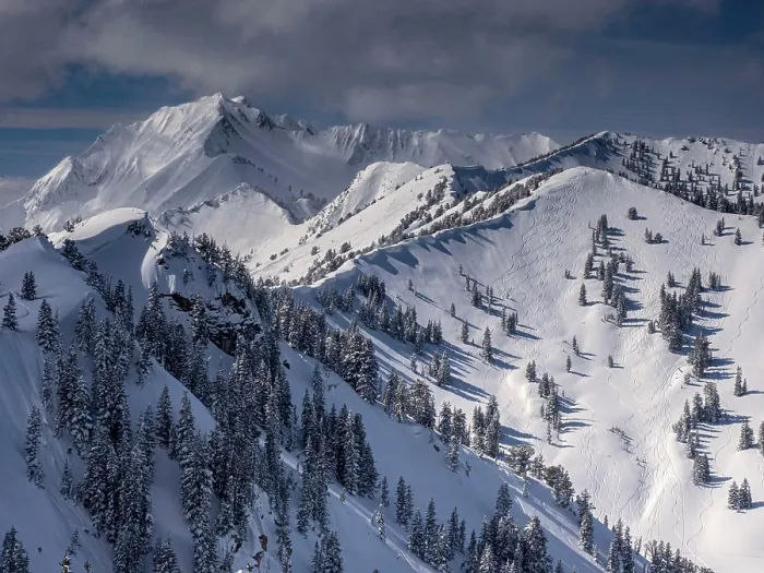 Framed Print : Backcountry skiers have enjoyed the fresh powder in Silver Fork Framed Print : Backcountry skiers have enjoyed the fresh powder in Silver Fork