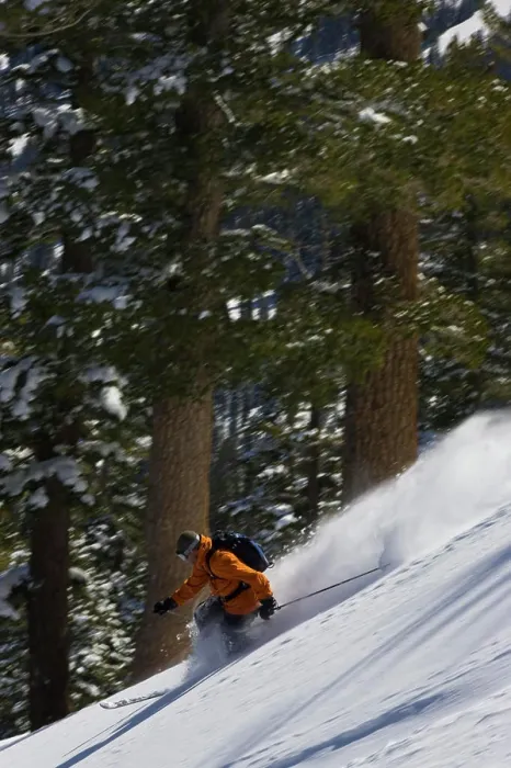 Framed Print : A backcountry telemark skier makes turns in powder snow near Kirkwood, California Framed Print : A backcountry telemark skier makes turns in powder snow near Kirkwood, California