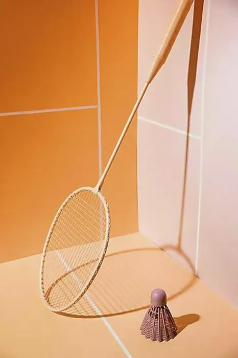 Framed Print : Badminton racket shuttlecock Framed Print : Badminton racket shuttlecock