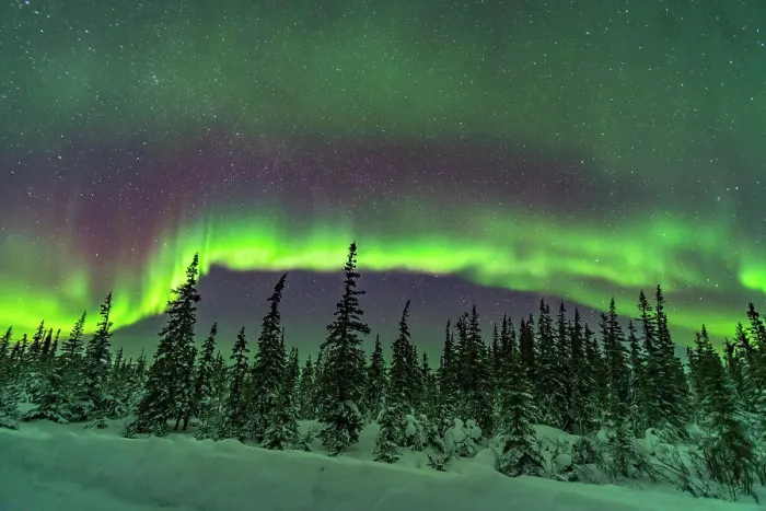 Framed Print : A band of subtly coloured aurora over the snowy trees of the northern boreal forest