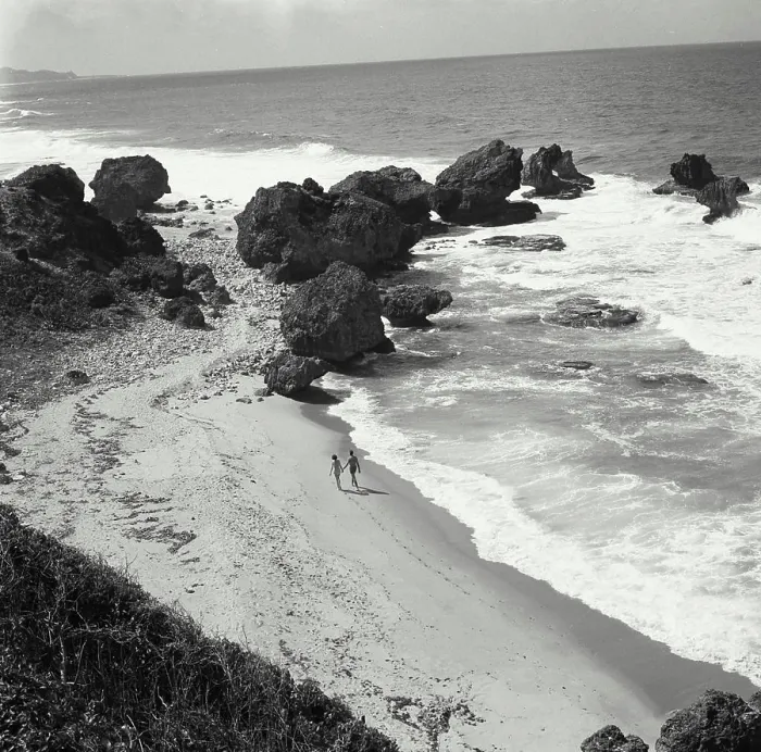 Framed Print : Barbados Framed Print : Barbados