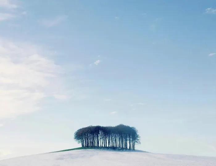 Framed Print : Bare trees on snow covered hill, Devon, England, UK