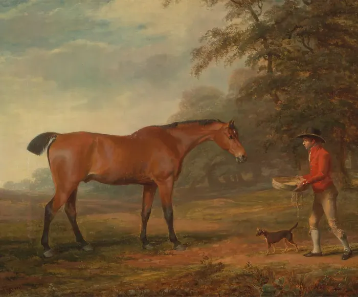 Framed Print : Bay Horse Approached Stable-Lad Food Halter George Garrard Framed Print : Bay Horse Approached Stable-Lad Food Halter George Garrard