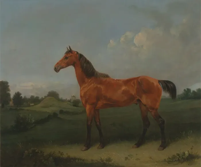 Framed Print : Bay Horse Field Edmund Bristow 1787-1876 British Framed Print : Bay Horse Field Edmund Bristow 1787-1876 British