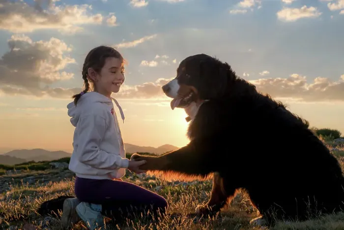 Framed Print : Beautiful little girl and her dog playing at sunset together