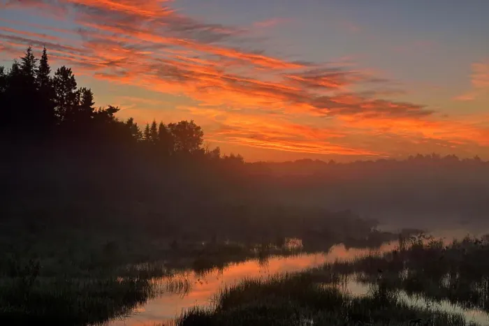 Framed Print : A beaver pond in late summer at dawn, Greater Sudbury, Ontario, Canada