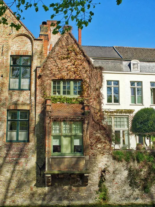 Framed Print : Belgium, Brugge. Windows covered in vine along the canal. A dog can be seen in the window Framed Print : Belgium, Brugge. Windows covered in vine along the canal. A dog can be seen in the window