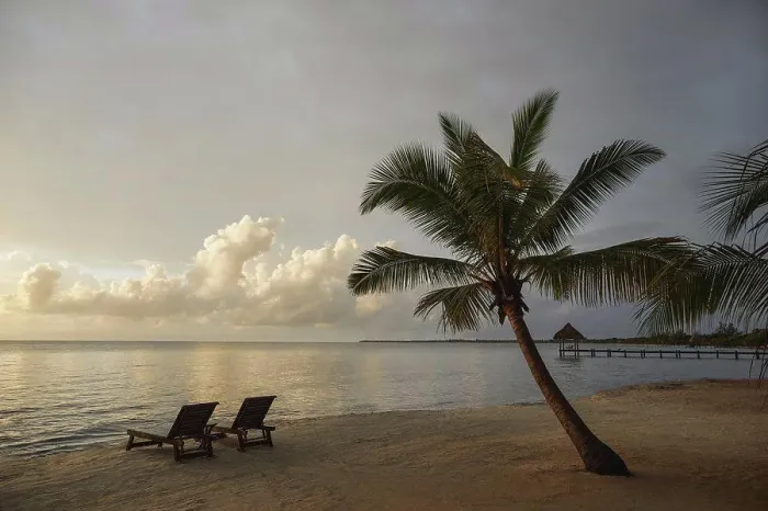 Framed Print : Belize, Placencia, Lounge chairs on tropical beach at sunset Framed Print : Belize, Placencia, Lounge chairs on tropical beach at sunset