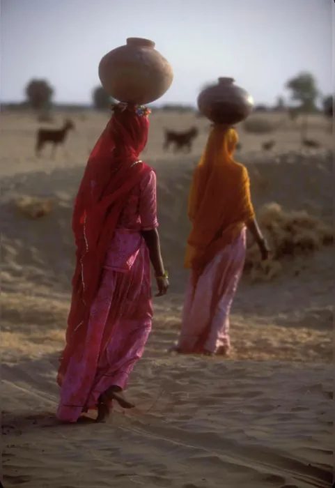 Framed Print : Bhil indigenous women carrying water jugs on their heads, Rajasthan Desert, India