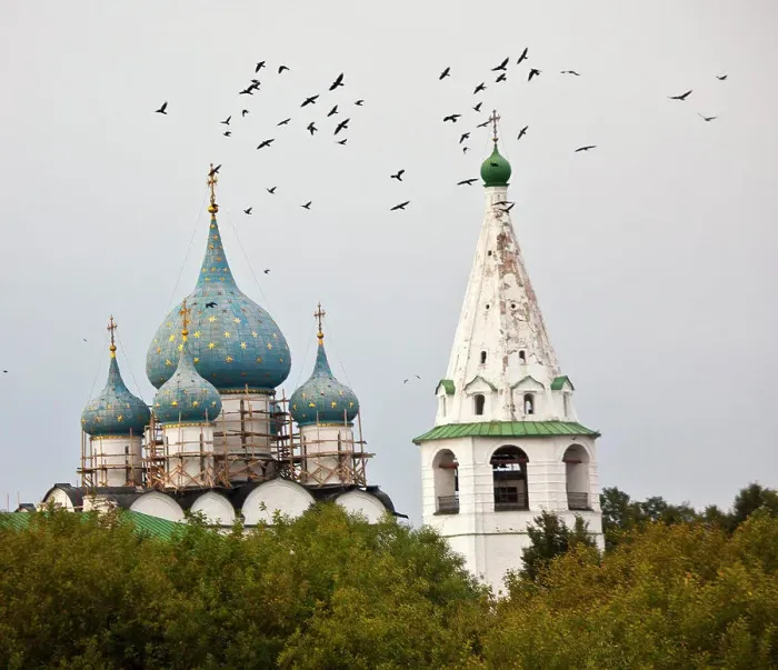 Framed Print : Birds flying over the Kremlin and church, Suzdal, Russia