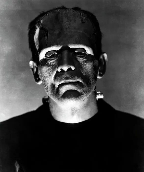 Framed Print : Boris Karloff, Frankenstein, 1931 directed by James Whale Universal Pictures Framed Print : Boris Karloff, Frankenstein, 1931 directed by James Whale Universal Pictures