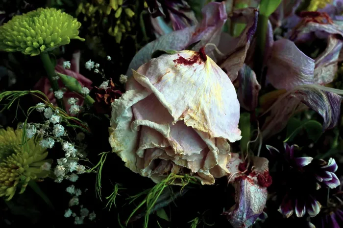Framed Print : Bouquet of withered flowers with a dried rose in the foreground Framed Print : Bouquet of withered flowers with a dried rose in the foreground