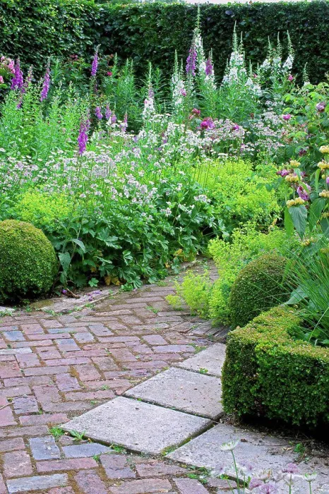 Framed Print : Box hedge and perennials in bloom on a garden terrace