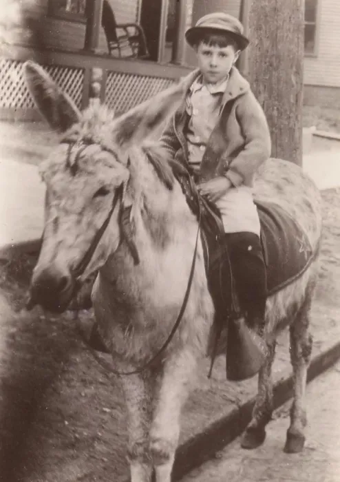 Framed Print : Boy sitting on donkey Framed Print : Boy sitting on donkey