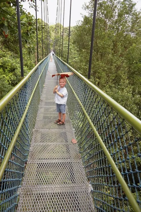 Framed Print : Boy standing on long footbridge, Botanical Gardens, Singapore