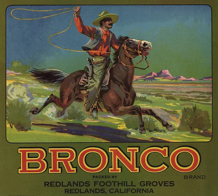 Framed Print : Bronco Cowboy with Lasso on horseback Framed Print : Bronco Cowboy with Lasso on horseback