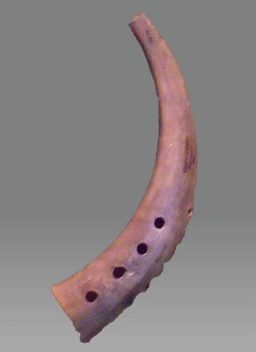 Framed Print : Bukkehorn ca. 1883 Norwegian A folk instrument of goat's horn is used in Scandinavia found under the name bukkehorn or Framed Print : Bukkehorn ca. 1883 Norwegian A folk instrument of goat's horn is used in Scandinavia found under the name bukkehorn or