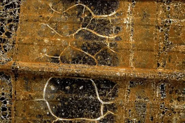 Framed Print : Detail of burnt building Framed Print : Detail of burnt building