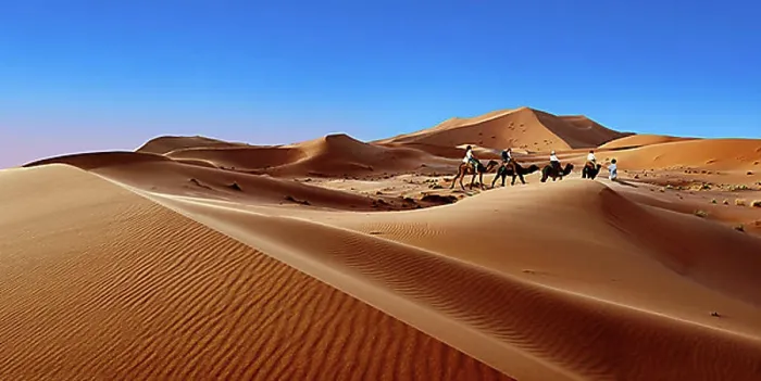 Framed Print : Camel rides on the Sahara sand dunes of Erg Chebbi, Morocco, Africa Framed Print : Camel rides on the Sahara sand dunes of Erg Chebbi, Morocco, Africa