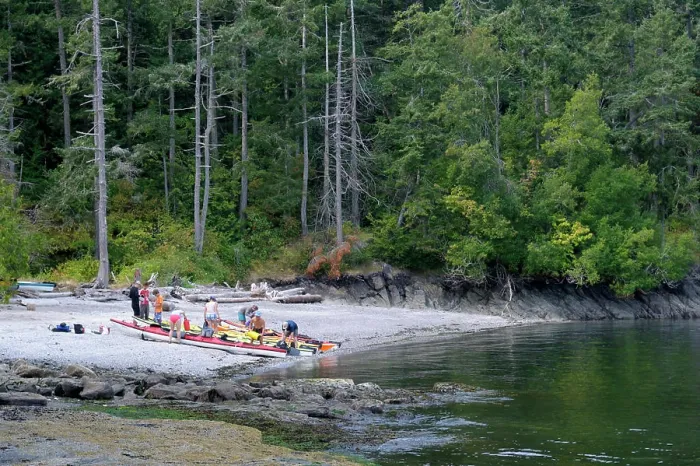 Framed Print : Canada, British Columbia, Gulf Islands, Portland Island. Kayakers loading their kayaks at Arbutus Point Framed Print : Canada, British Columbia, Gulf Islands, Portland Island. Kayakers loading their kayaks at Arbutus Point