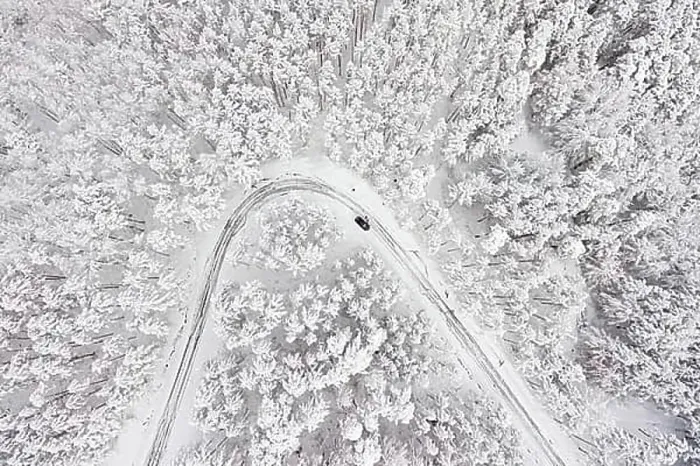 Framed Print : Car on road in winter trough a forest covered with snow Framed Print : Car on road in winter trough a forest covered with snow
