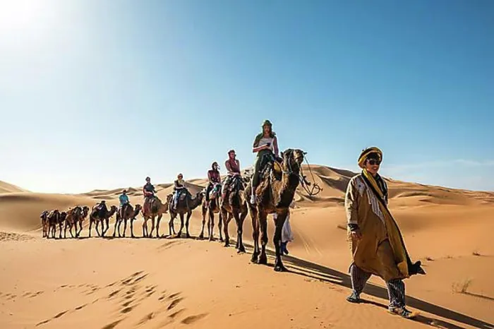 Framed Print : Caravan with dromedaries (Camelus dromedarius), sand dunes in the desert, Erg Chebbi, Merzouga, Sahara, Morocco, Africa Framed Print : Caravan with dromedaries (Camelus dromedarius), sand dunes in the desert, Erg Chebbi, Merzouga, Sahara, Morocco, Africa