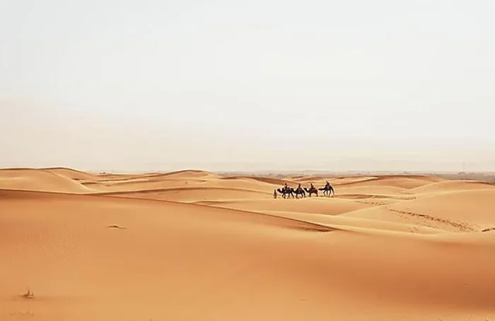 Framed Print : Caravan with dromedaries (Camelus dromedarius), sand dunes in the desert, Erg Chebbi, Merzouga, Sahara, Morocco, Africa Framed Print : Caravan with dromedaries (Camelus dromedarius), sand dunes in the desert, Erg Chebbi, Merzouga, Sahara, Morocco, Africa