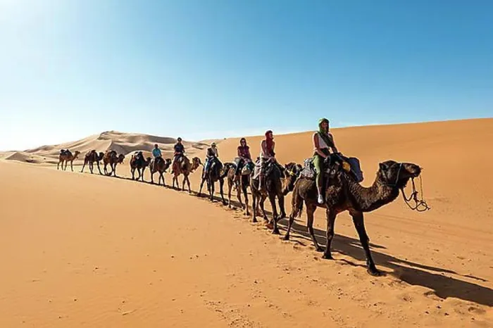 Framed Print : Caravan with dromedaries (Camelus dromedarius), sand dunes in the desert, Erg Chebbi, Merzouga, Sahara, Morocco, Africa