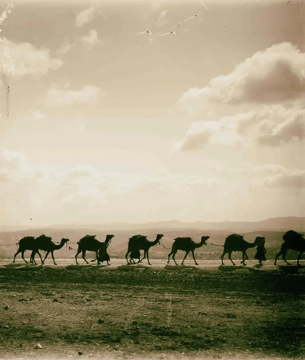 Framed Print : Caravan silhouette 1898, Middle East, Israel and / or Palestine Framed Print : Caravan silhouette 1898, Middle East, Israel and / or Palestine