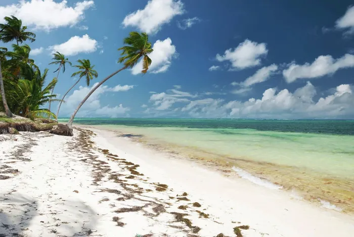 Framed Print : Caribbean wild beach Wild caribbean beach in Dominican Republic Copyright: xZoonar.com / NikolaixOkhitinx 16630489 Framed Print : Caribbean wild beach Wild caribbean beach in Dominican Republic Copyright: xZoonar.com / NikolaixOkhitinx 16630489