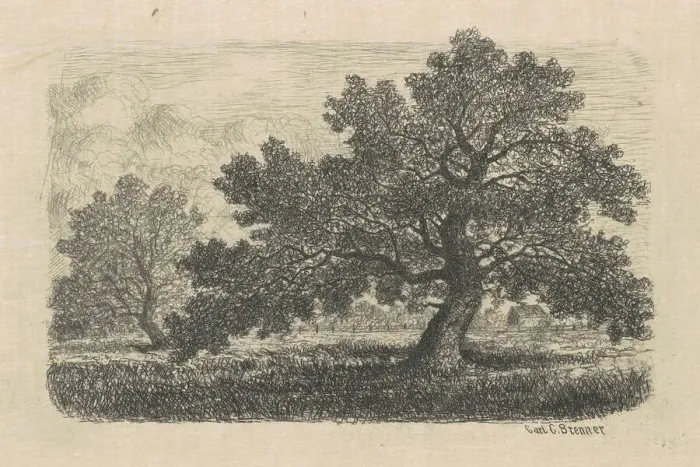 Framed Print : Carl C Brenner, Apple Trees, 1870s 1880s Apple Trees