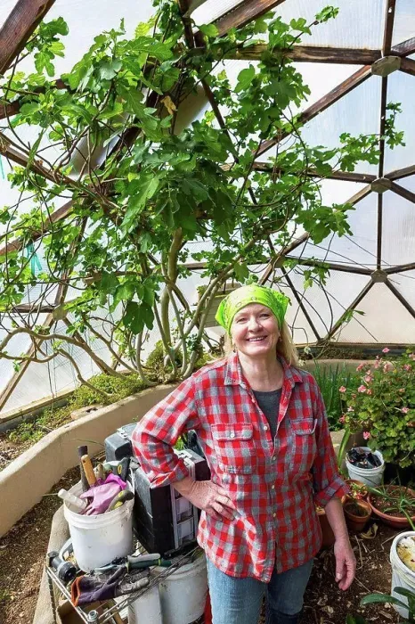Framed Print : Caucasian woman gardening in greenhouse Framed Print : Caucasian woman gardening in greenhouse