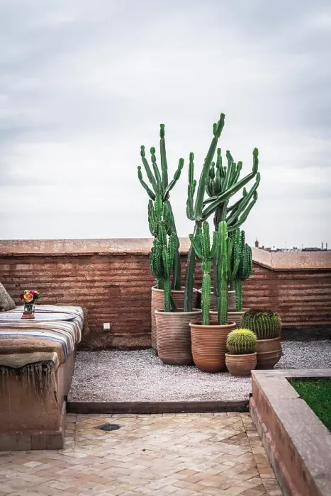 Framed Print : Ceramic pots with green cactuses and weathered sofa located on old terrace against cloudy sky