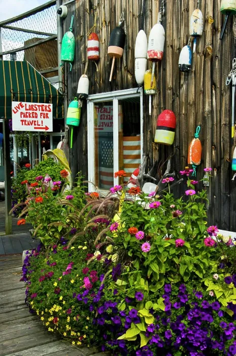 Framed Print : Charming and picturesque Bar Harbor on Mt. Desert Island Maine
