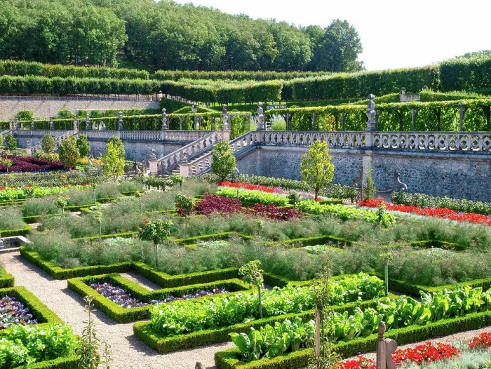 Framed Print : Chateau et Jardins de Villandry, Indre-et-Loire, historical garden, France, Loire Valley, Villandry