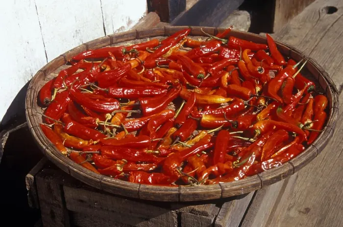 Framed Print : CHILE PEPPERS BHUTAN Framed Print : CHILE PEPPERS BHUTAN