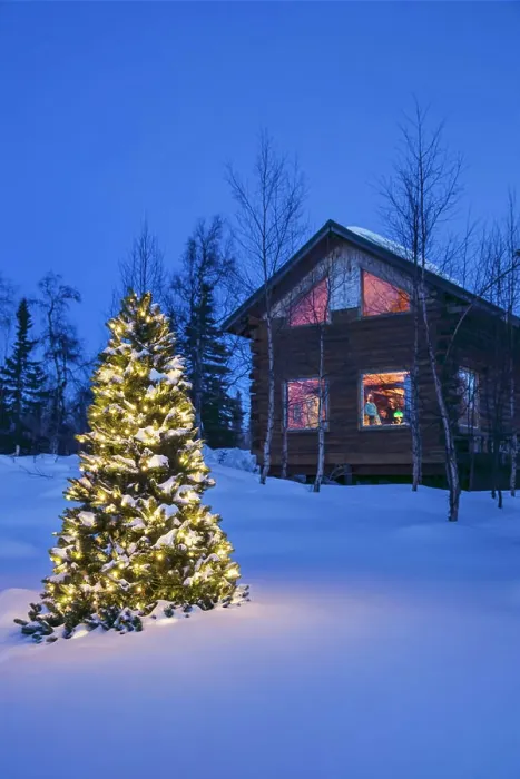 Framed Print : A Christmas tree with white lights outside a remote cabin Framed Print : A Christmas tree with white lights outside a remote cabin