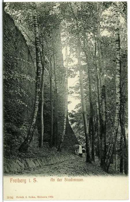 Framed Print : At the city wallFreiberg. At the city wall
